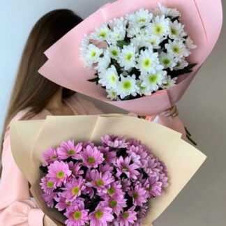 Хризантемы