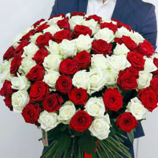 101 роза микс